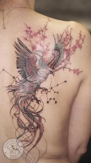 Tatouage phénix aux ailes déployées avec fleurs de cerisier dans le dos